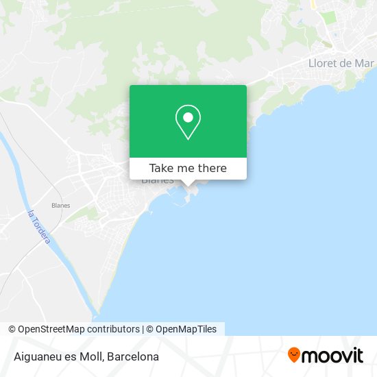 mapa Aiguaneu es Moll