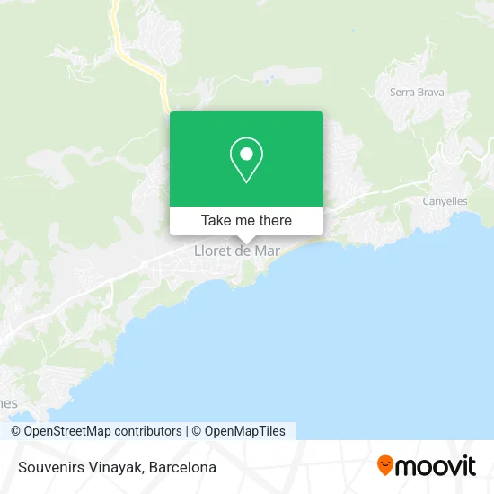 Souvenirs Vinayak map