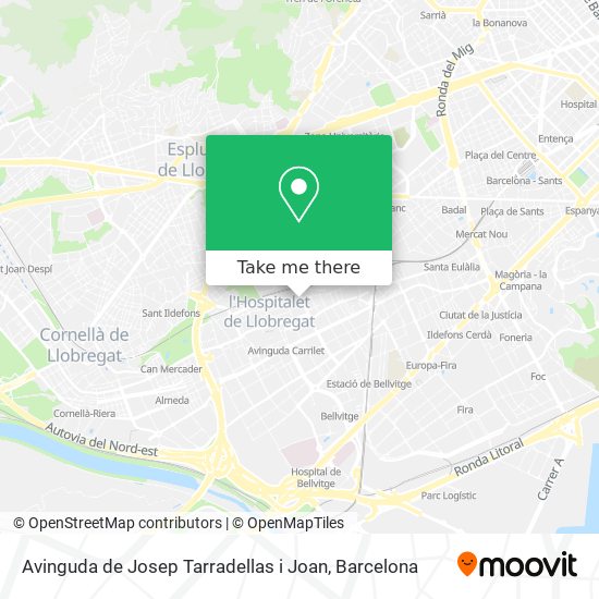 Avinguda de Josep Tarradellas i Joan map