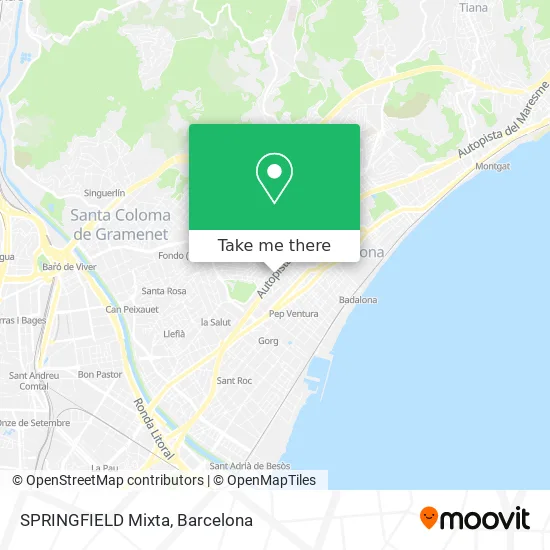 SPRINGFIELD Mixta map