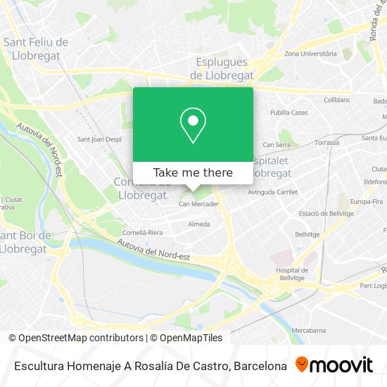 Escultura Homenaje A Rosalía De Castro map