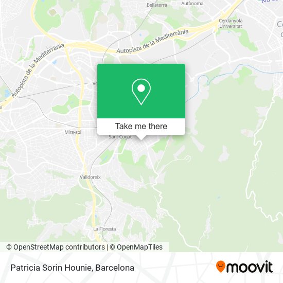 Patricia Sorin Hounie map
