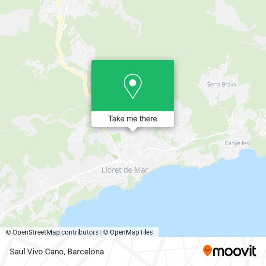 Saul Vivo Cano map