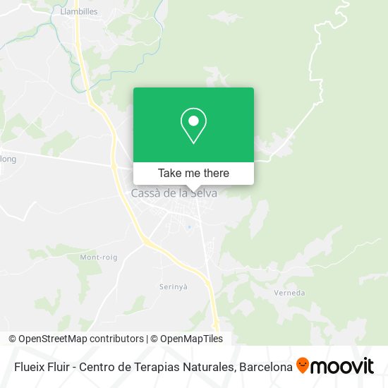 Flueix Fluir - Centro de Terapias Naturales map