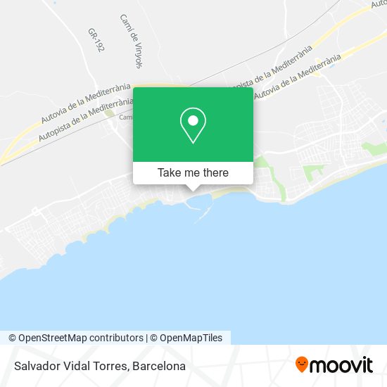 Salvador Vidal Torres map