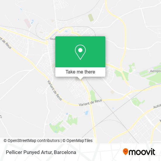 Pellicer Punyed Artur map
