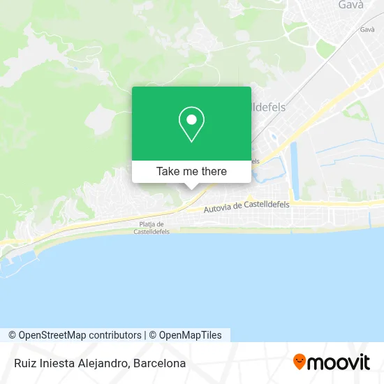 Ruiz Iniesta Alejandro map