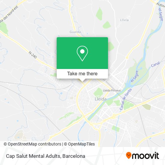 Cap Salut Mental Adults map