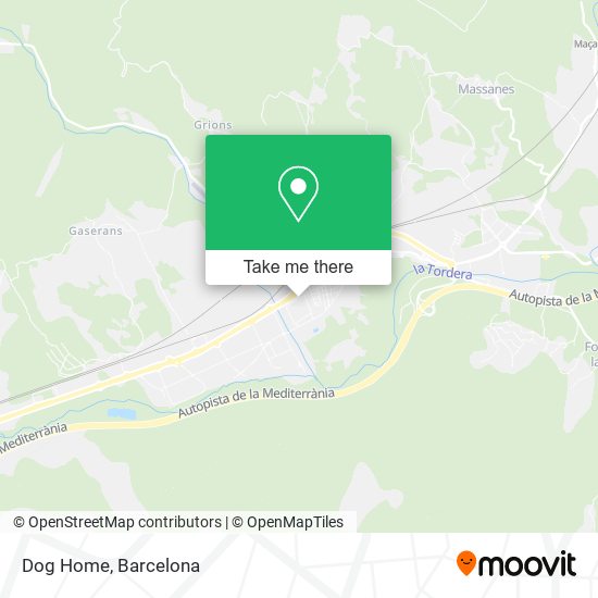 Dog Home map