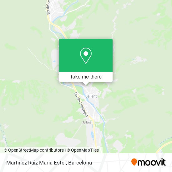 Martínez Ruiz Maria Ester map
