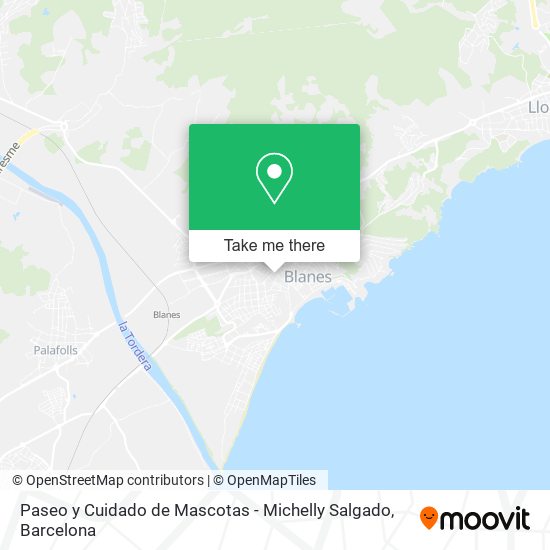 Paseo y Cuidado de Mascotas - Michelly Salgado map