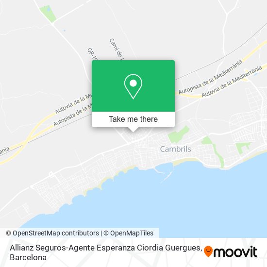 Allianz Seguros-Agente Esperanza Ciordia Guergues map