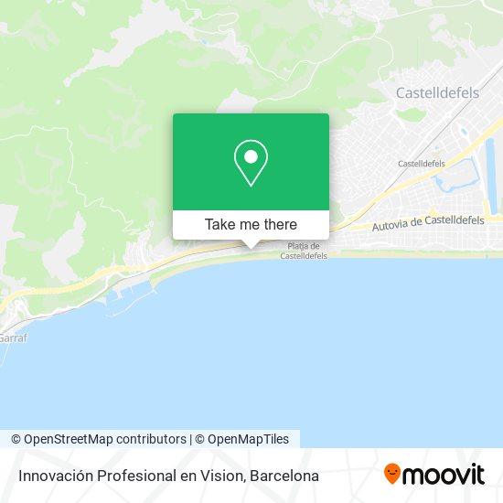 Innovación Profesional en Vision map