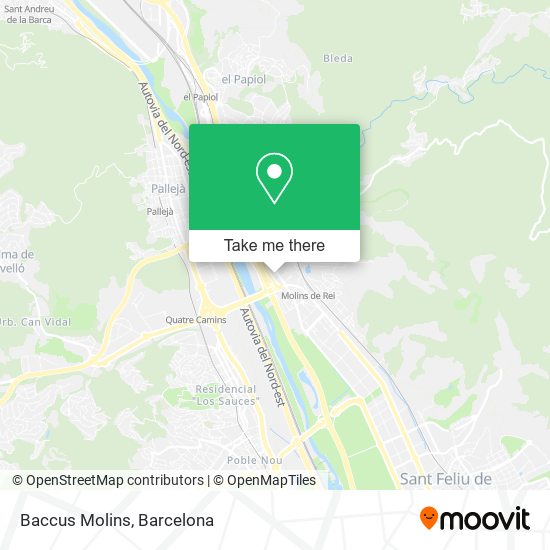 Baccus Molins map