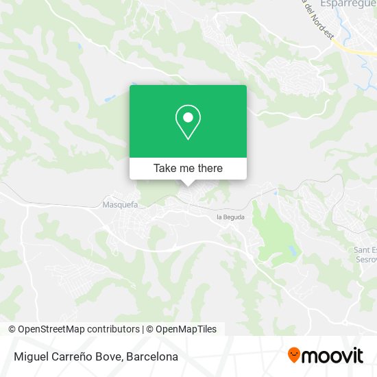 Miguel Carreño Bove map