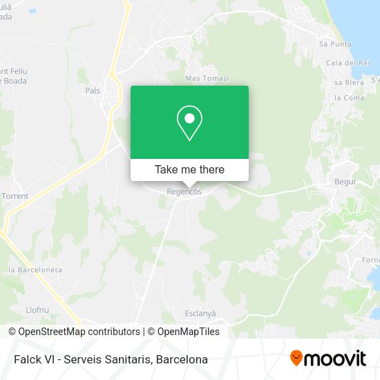 Falck Vl - Serveis Sanitaris map