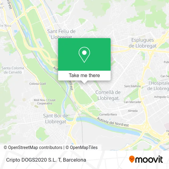 Cripto DOGS2020 S.L. T map