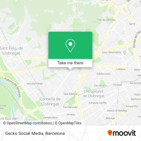 Gecko Social Media map