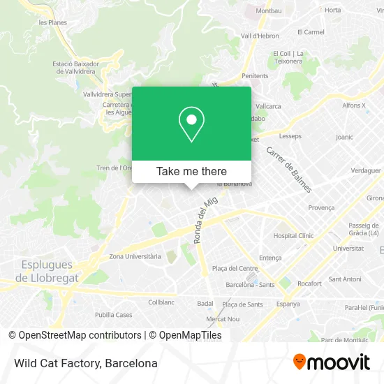 Wild Cat Factory map