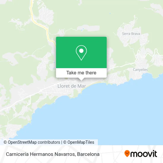 mapa Carnicería Hermanos Navarros
