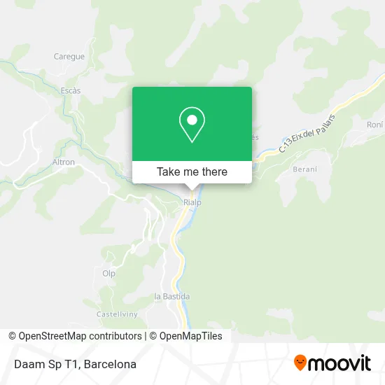 Daam Sp T1 map