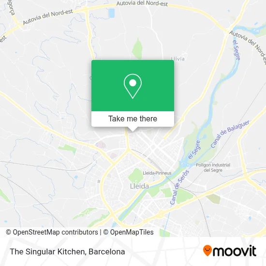 The Singular Kitchen map