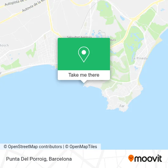 Punta Del Porroig map