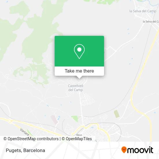 Pugets map