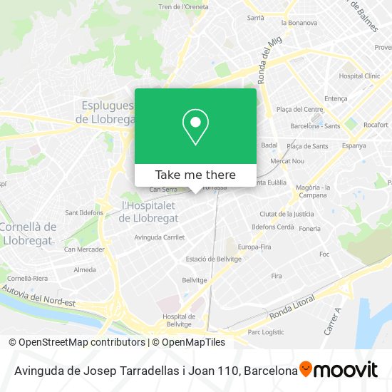 Avinguda de Josep Tarradellas i Joan 110 map