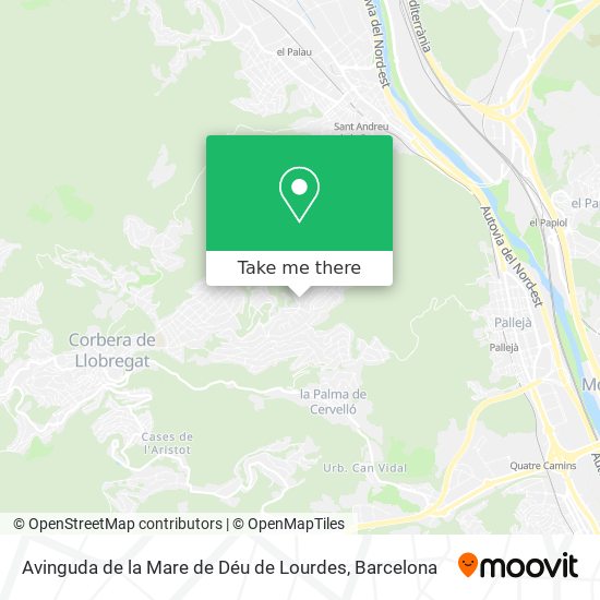 Avinguda de la Mare de Déu de Lourdes map