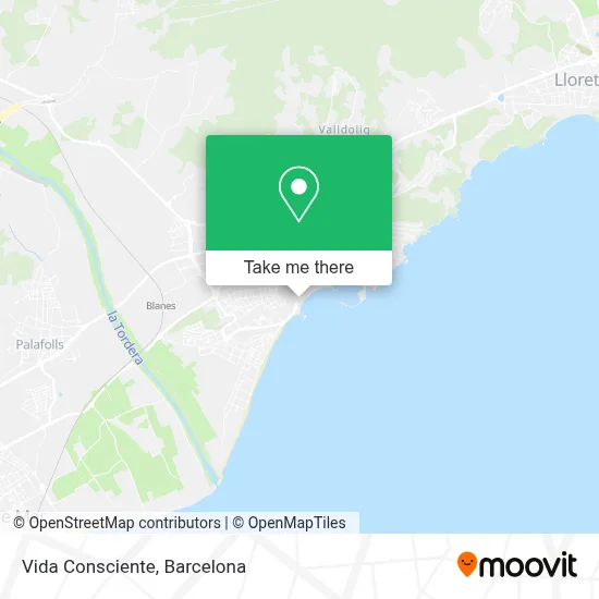 Vida Consciente map
