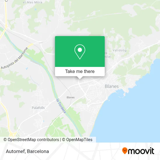 Automef map
