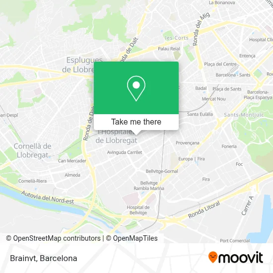 Brainvt map