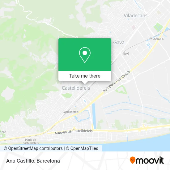 Ana Castillo map