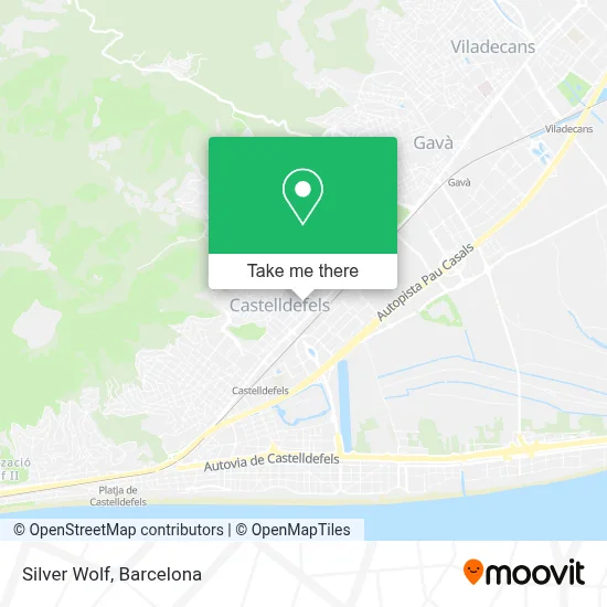 Silver Wolf map