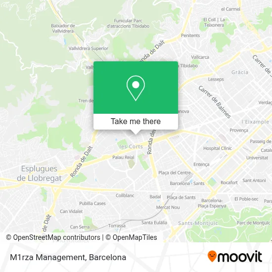 M1rza Management map