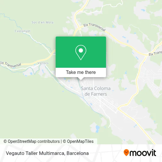 Vegauto Taller Multimarca map