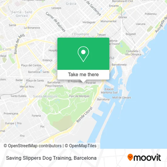 Saving Slippers Dog Training map