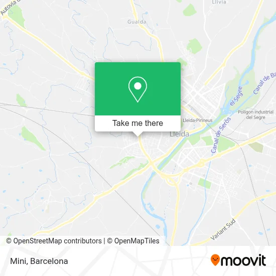Mini map