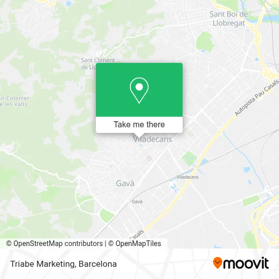 Triabe Marketing map