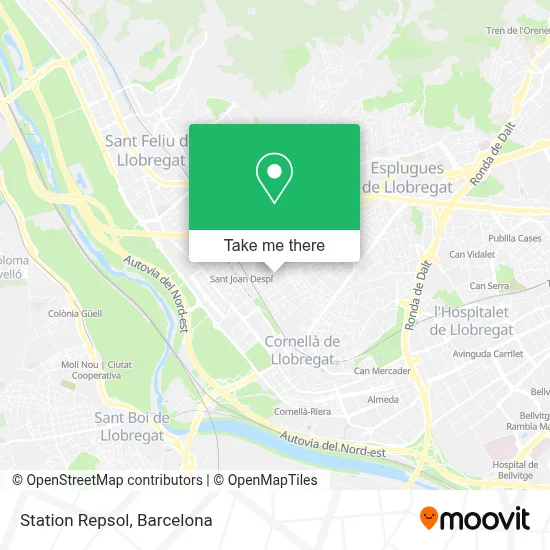 Station Repsol map