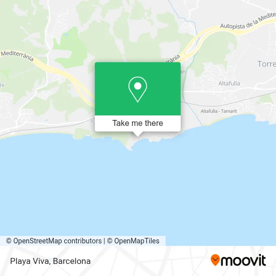 Playa Viva map