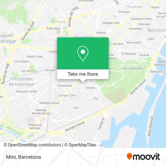 Mini map