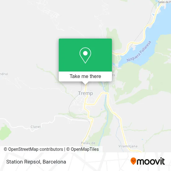 Station Repsol map