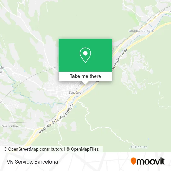 Ms Service map