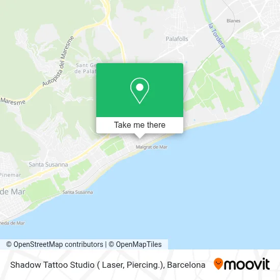 Shadow Tattoo Studio ( Laser, Piercing.) map