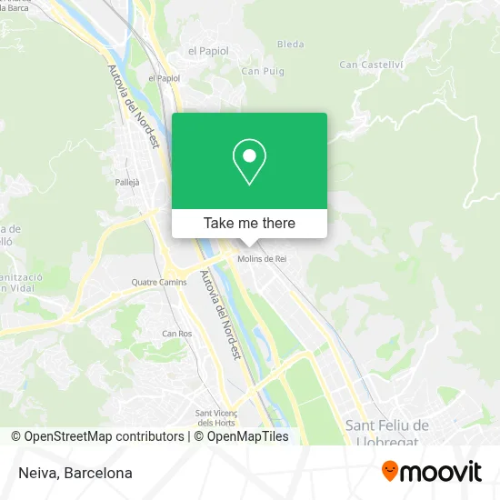Neiva map