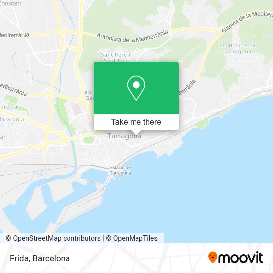Frida map