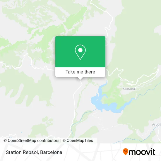 Station Repsol map