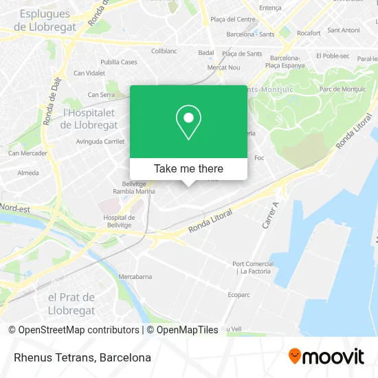 Rhenus Tetrans map